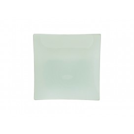 8"*8" Glass Plate (10/pack)