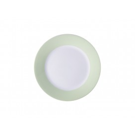 8" Plate w/ Light Green Rim(26/pack)